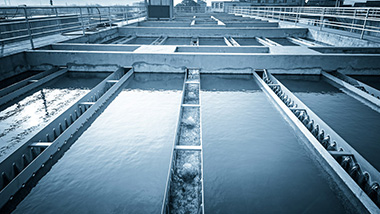 如何能让市政污水处理厂的出水氨氮达标