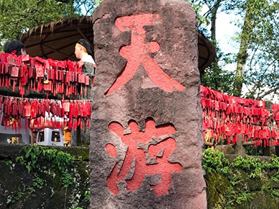 踏青山聚同心，必源环保武夷山团建之旅圆满收官！